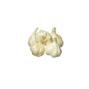 Garlic - Medium - Image 1